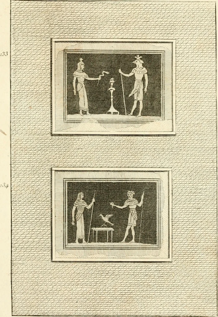 An illustration from Les antiquités d'Herculanum : avec leurs explications en françois, 1780, leaf 300