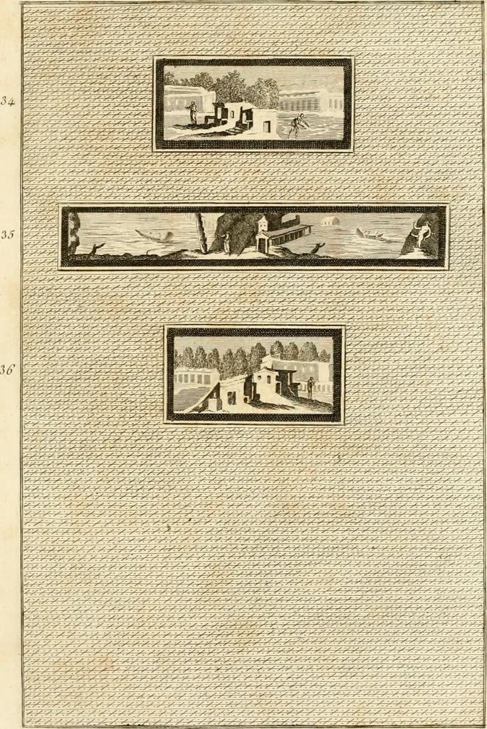 An illustration from Les antiquités d'Herculanum : avec leurs explications en françois, 1780, leaf 72