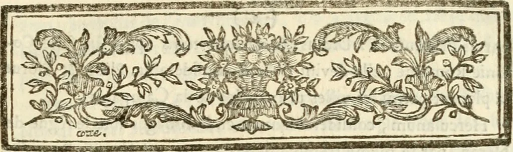 An illustration from Les antiquités d'Herculanum : avec leurs explications en françois, 1780, leaf 8