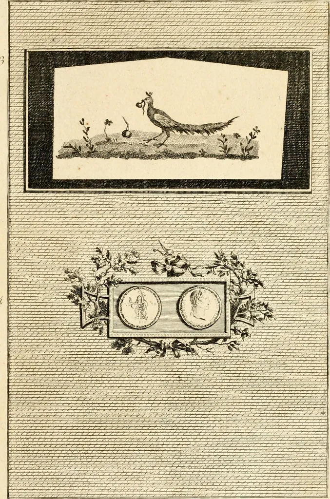 An illustration from Les antiquités d'Herculanum : avec leurs explications en françois, 1780, leaf 20