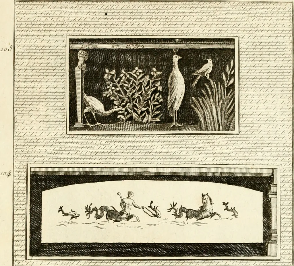 An illustration from Les antiquités d'Herculanum : avec leurs explications en françois, 1780, leaf 286