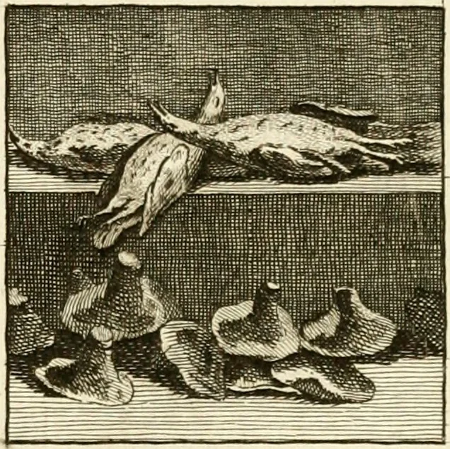 An illustration from Les antiquités d'Herculanum : avec leurs explications en françois, 1780, leaf 332