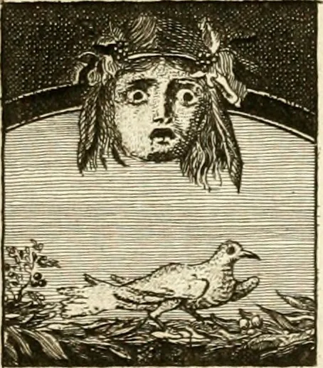An illustration from Les antiquités d'Herculanum : avec leurs explications en françois, 1780, leaf 332