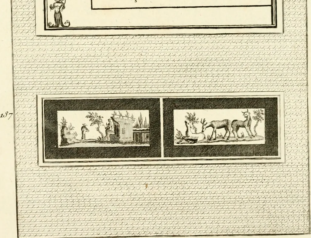 An illustration from Les antiquités d'Herculanum : avec leurs explications en françois, 1780, leaf 346