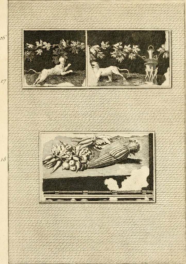 An illustration from Les antiquités d'Herculanum : avec leurs explications en françois, 1780, leaf 52