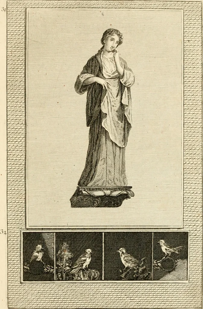 An illustration from Les antiquités d'Herculanum : avec leurs explications en françois, 1780, leaf 74