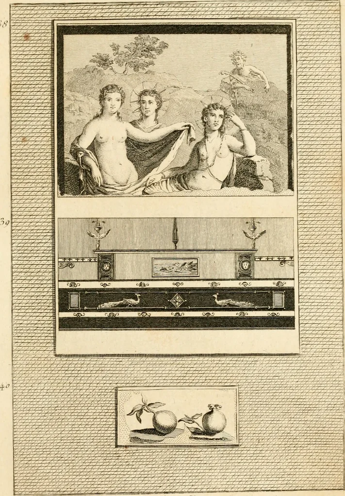 An illustration from Les antiquités d'Herculanum : avec leurs explications en françois, 1780, leaf 96