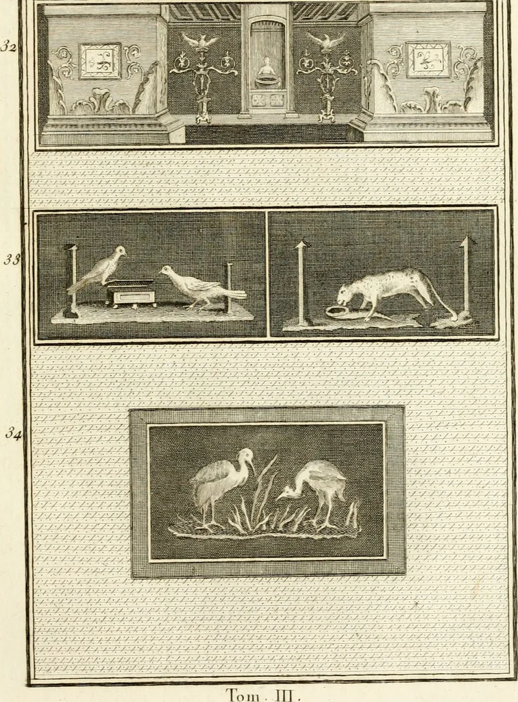 An illustration from Les antiquités d'Herculanum : avec leurs explications en françois, 1780, leaf 114