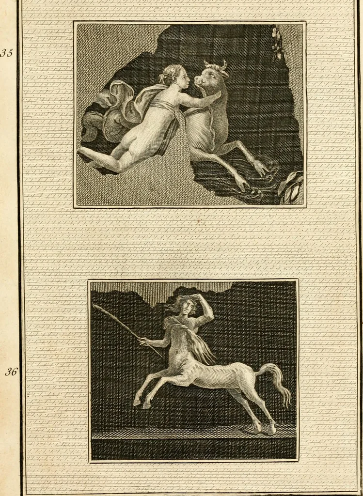 An illustration from Les antiquités d'Herculanum : avec leurs explications en françois, 1780, leaf 116