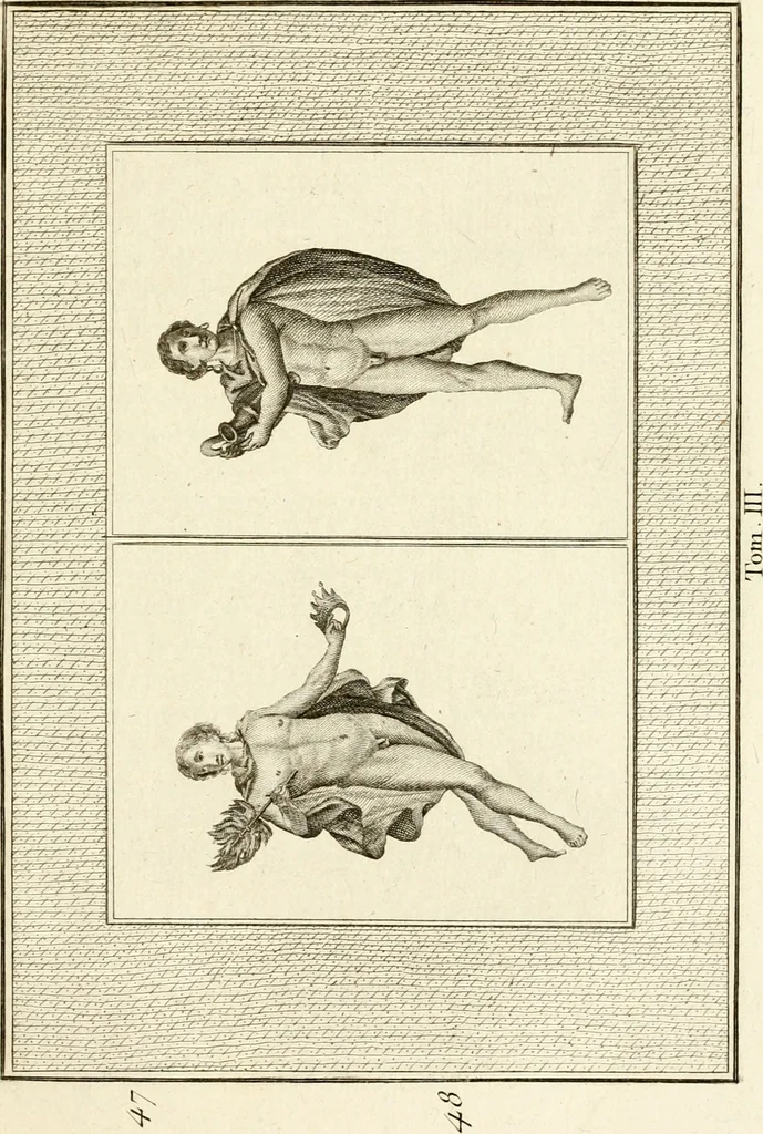 An illustration from Les antiquités d'Herculanum : avec leurs explications en françois, 1780, leaf 142