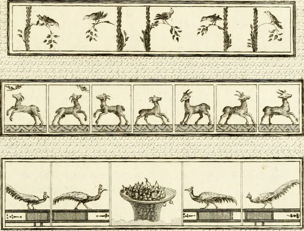 An illustration from Les antiquités d'Herculanum : avec leurs explications en françois, 1780, leaf 158