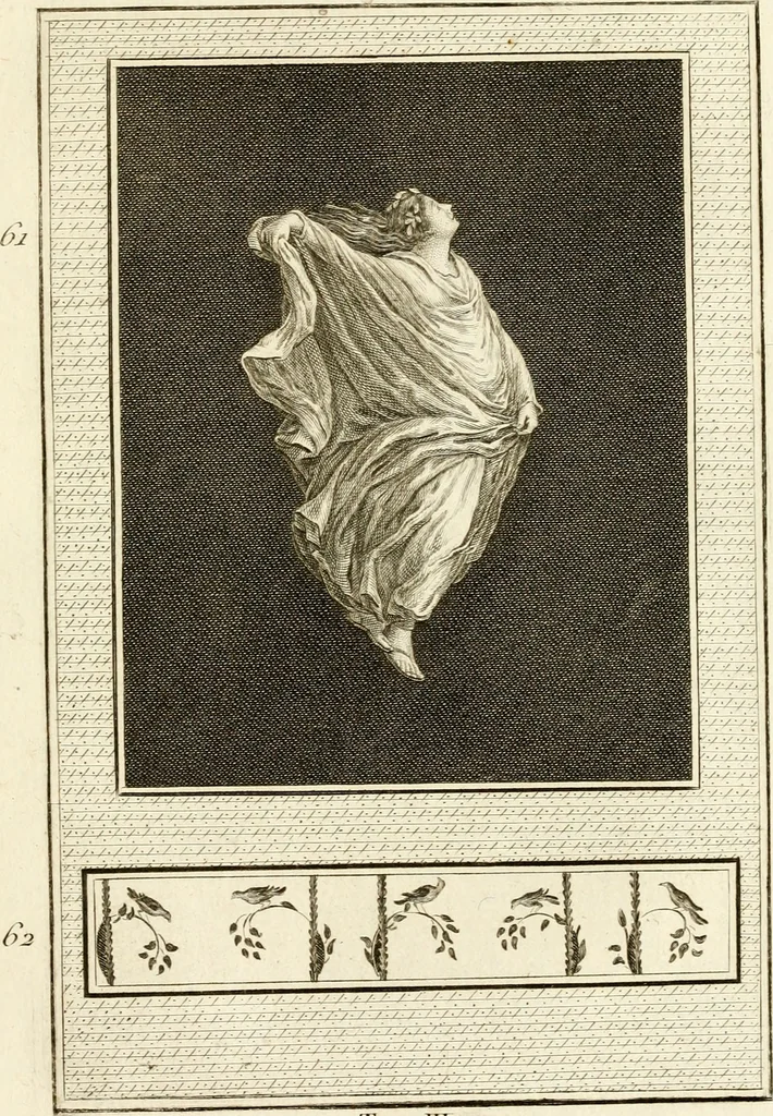 An illustration from Les antiquités d'Herculanum : avec leurs explications en françois, 1780, leaf 168