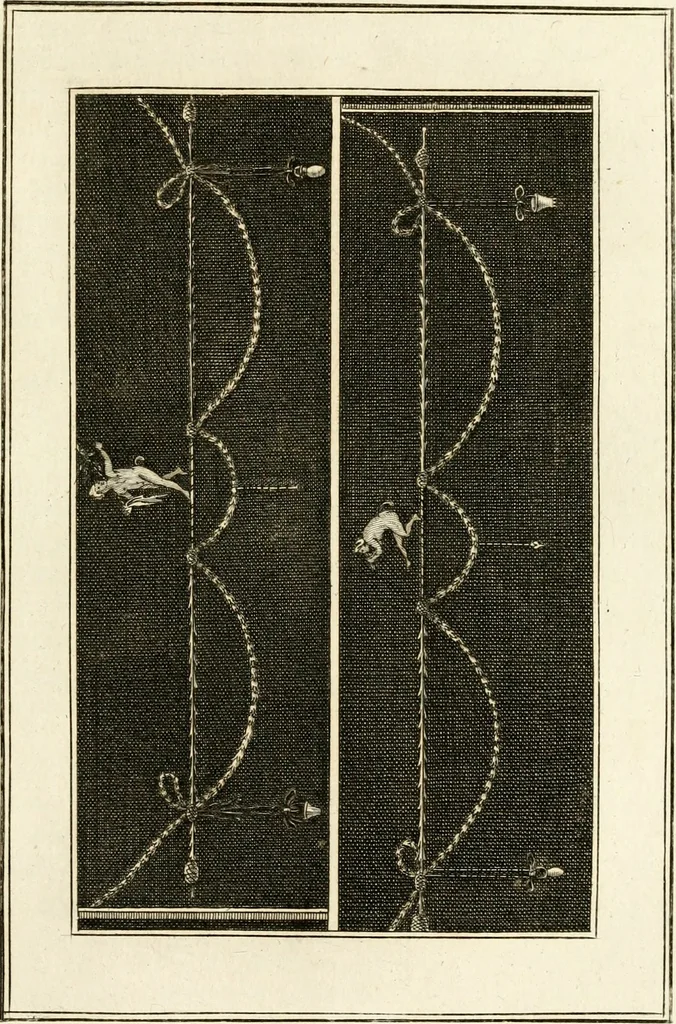 An illustration from Les antiquités d'Herculanum : avec leurs explications en françois, 1780, leaf 184