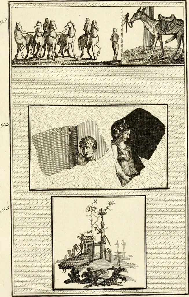 An illustration from Les antiquités d'Herculanum : avec leurs explications en françois, 1780, leaf 266