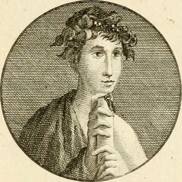 An illustration from Les antiquités d'Herculanum : avec leurs explications en françois, 1780, leaf 272