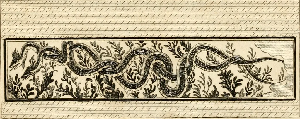 An illustration from Les antiquités d'Herculanum : avec leurs explications en françois, 1780, leaf 278