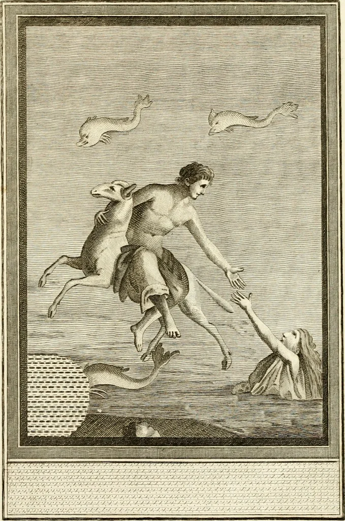 An illustration from Les antiquités d'Herculanum : avec leurs explications en françois, 1780, leaf 32