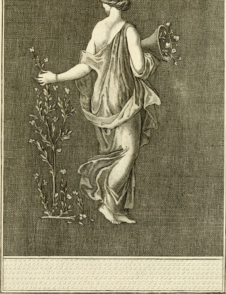 An illustration from Les antiquités d'Herculanum : avec leurs explications en françois, 1780, leaf 36