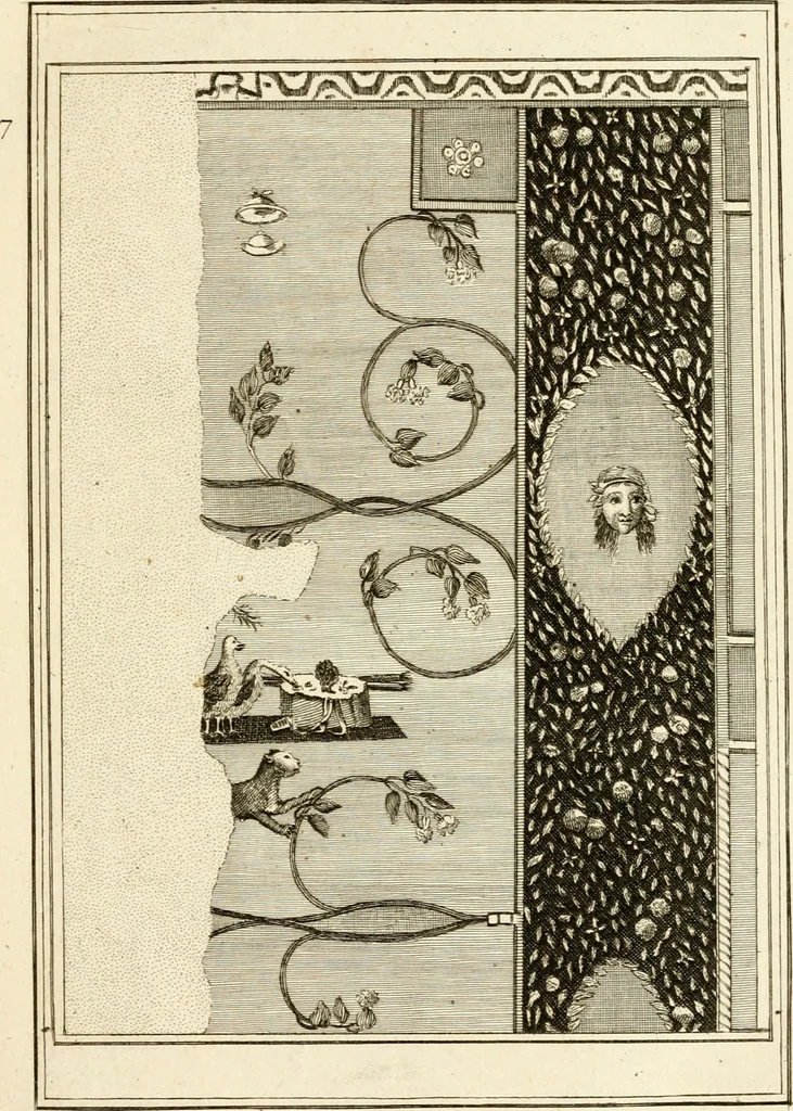 An illustration from Les antiquités d'Herculanum : avec leurs explications en françois, 1780, leaf 44