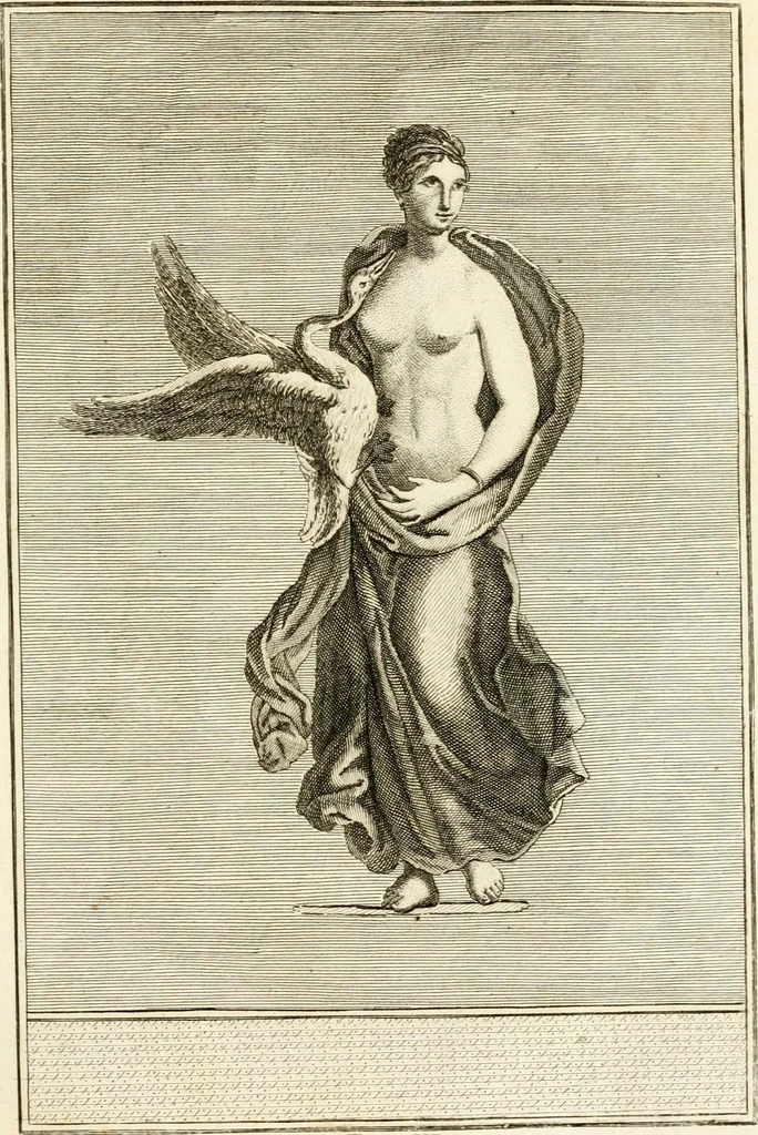 An illustration from Les antiquités d'Herculanum : avec leurs explications en françois, 1780, leaf 56