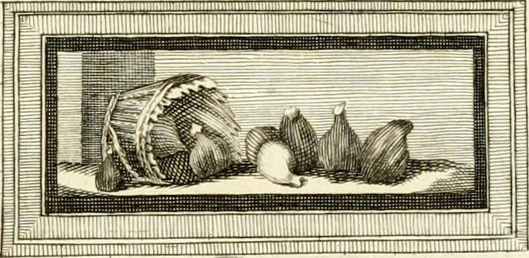 An illustration from Les antiquités d'Herculanum : avec leurs explications en françois, 1780, leaf 72
