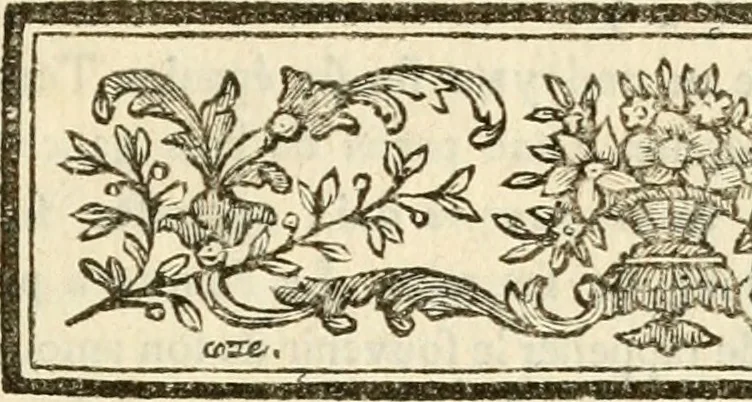 An illustration from Les antiquités d'Herculanum : avec leurs explications en françois, 1780, leaf 8
