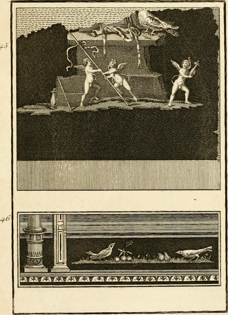 An illustration from Les antiquités d'Herculanum : avec leurs explications en françois, 1780, leaf 126