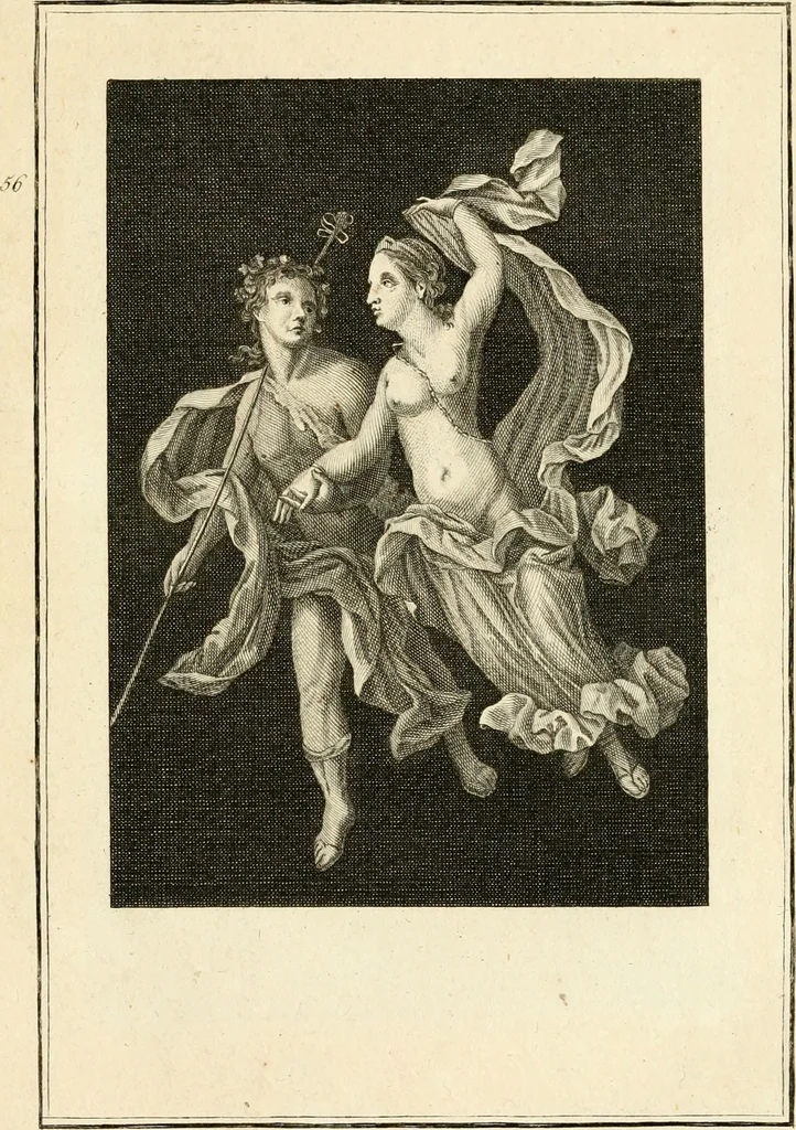 An illustration from Les antiquités d'Herculanum : avec leurs explications en françois, 1780, leaf 144