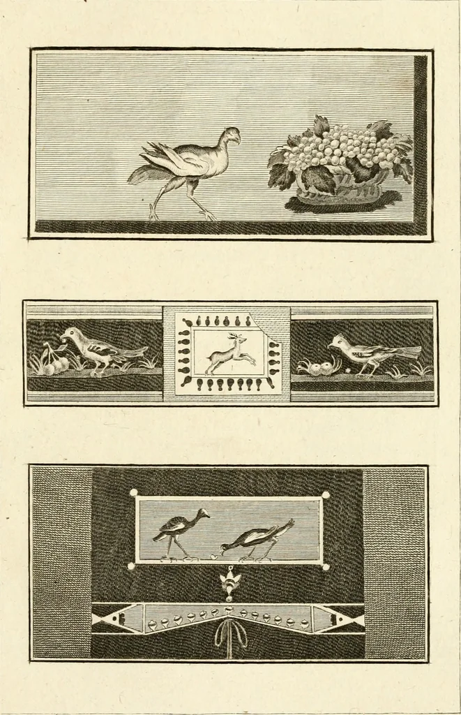 An illustration from Les antiquités d'Herculanum : avec leurs explications en françois, 1780, leaf 212