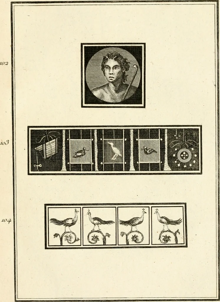An illustration from Les antiquités d'Herculanum : avec leurs explications en françois, 1780, leaf 224