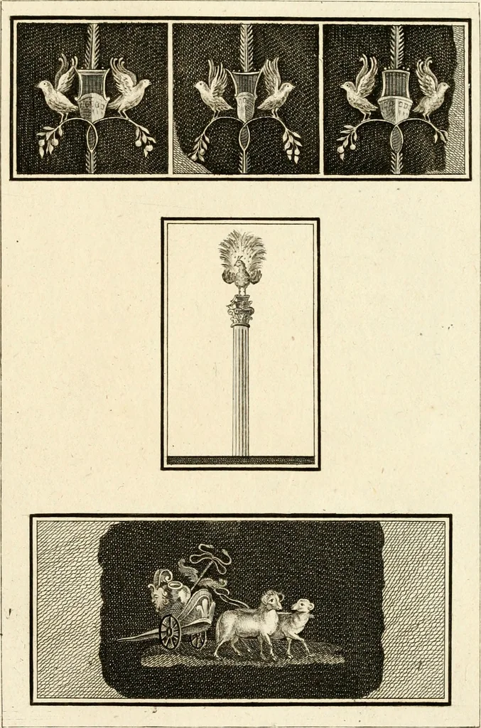 An illustration from Les antiquités d'Herculanum : avec leurs explications en françois, 1780, leaf 246