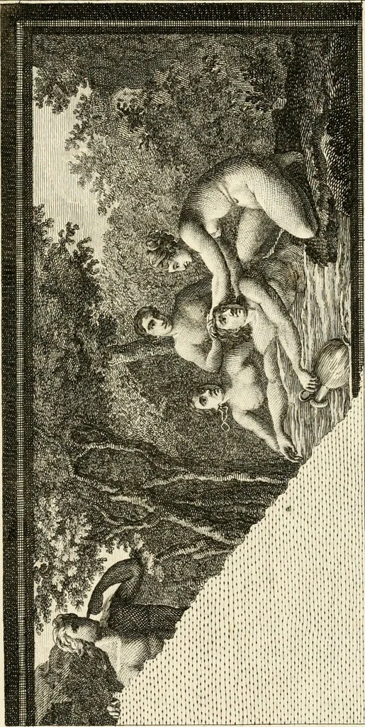 An illustration from Les antiquités d'Herculanum : avec leurs explications en françois, 1780, leaf 32