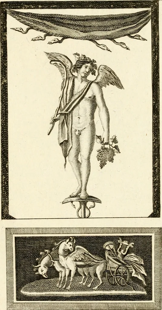 An illustration from Les antiquités d'Herculanum : avec leurs explications en françois, 1780, leaf 106