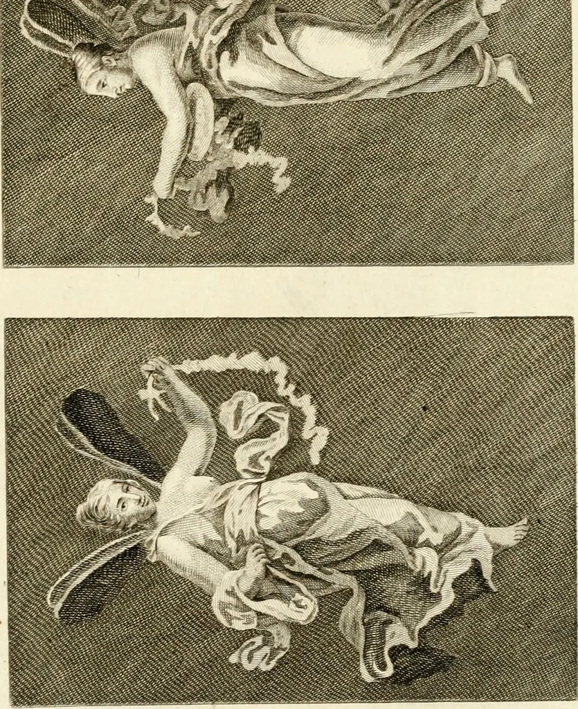 An illustration from Les antiquités d'Herculanum : avec leurs explications en françois, 1780, leaf 118