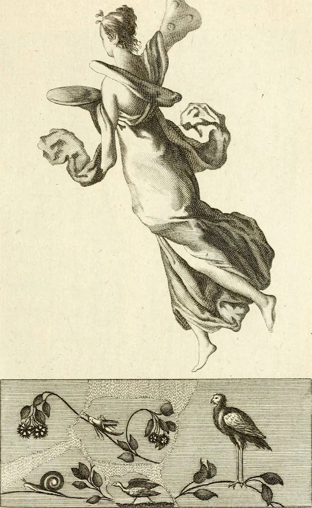 An illustration from Les antiquités d'Herculanum : avec leurs explications en françois, 1780, leaf 122