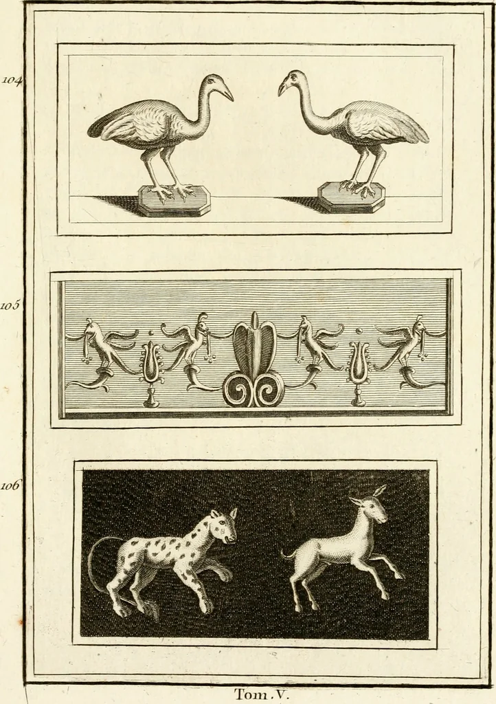 An illustration from Les antiquités d'Herculanum : avec leurs explications en françois, 1780, leaf 166