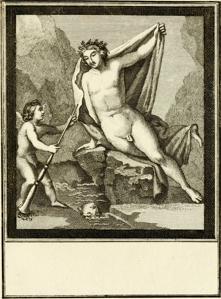 An illustration from Les antiquités d'Herculanum : avec leurs explications en françois, 1780, leaf 174