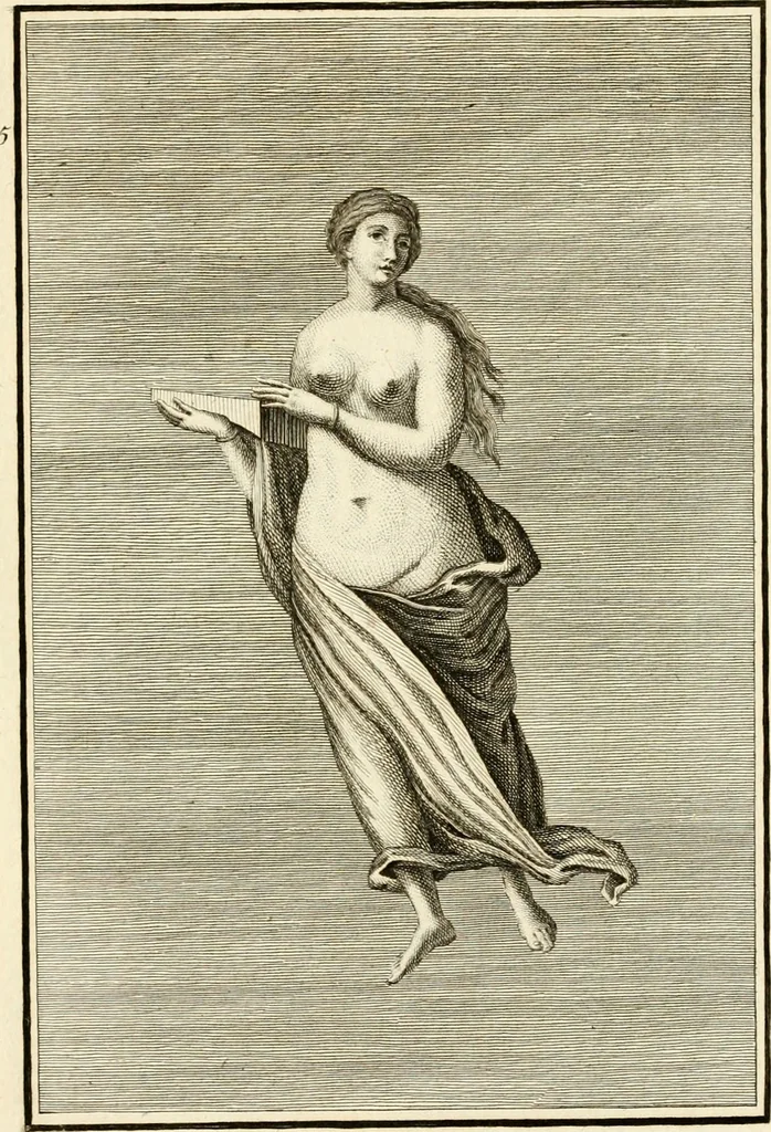 An illustration from Les antiquités d'Herculanum : avec leurs explications en françois, 1780, leaf 200