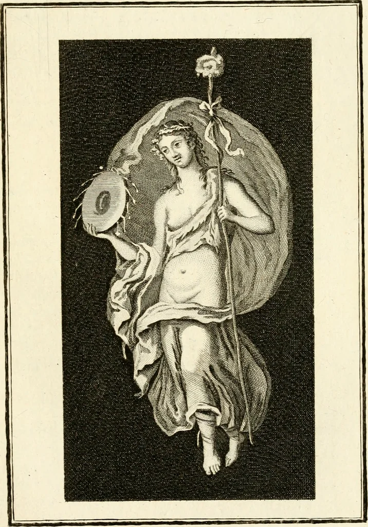 An illustration from Les antiquités d'Herculanum : avec leurs explications en françois, 1780, leaf 202