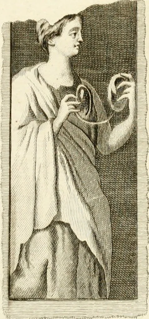 An illustration from Les antiquités d'Herculanum : avec leurs explications en françois, 1780, leaf 208