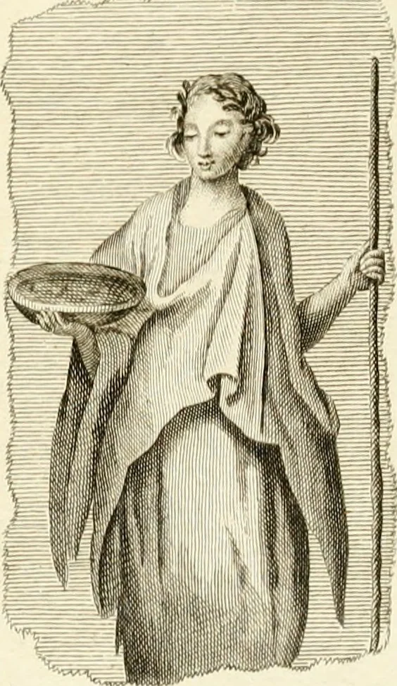 An illustration from Les antiquités d'Herculanum : avec leurs explications en françois, 1780, leaf 208