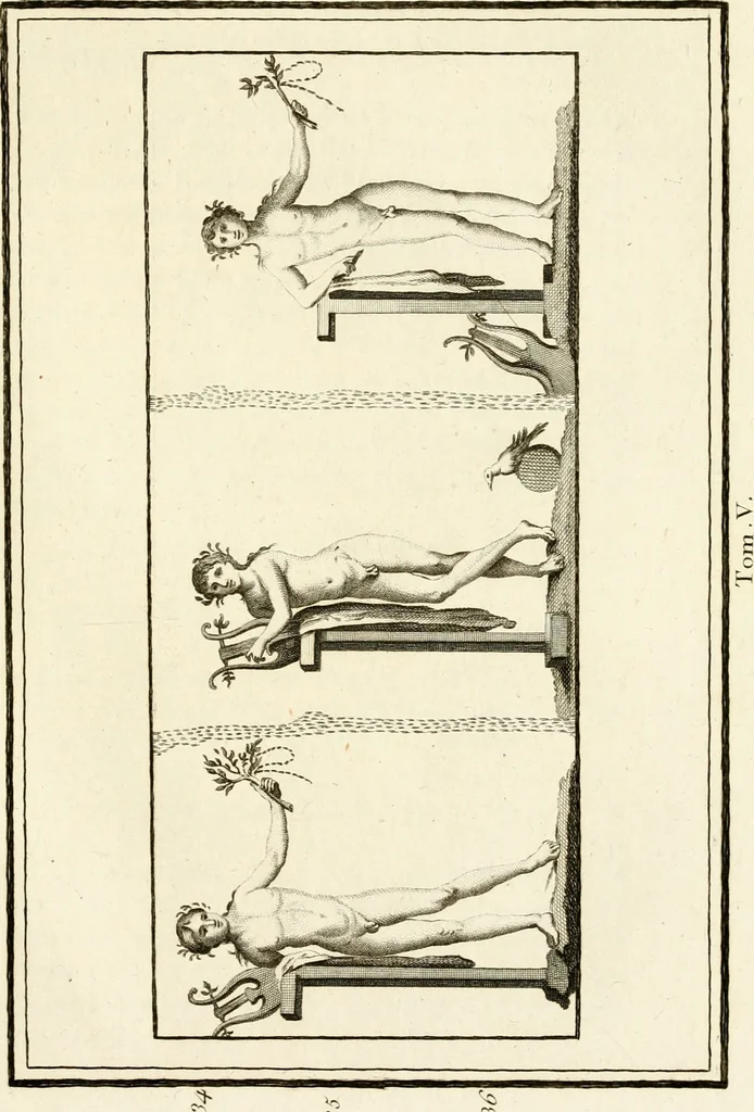 An illustration from Les antiquités d'Herculanum : avec leurs explications en françois, 1780, leaf 214