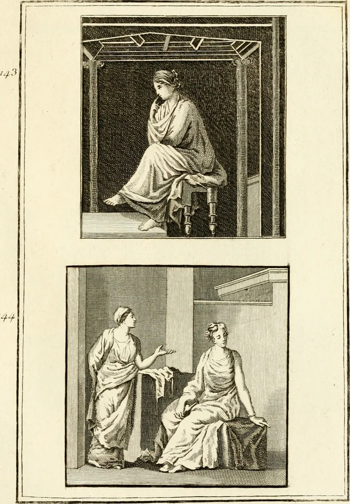 An illustration from Les antiquités d'Herculanum : avec leurs explications en françois, 1780, leaf 230