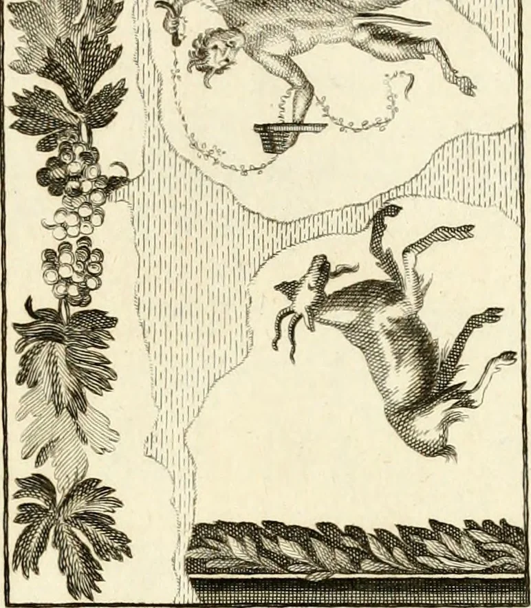 An illustration from Les antiquités d'Herculanum : avec leurs explications en françois, 1780, leaf 246