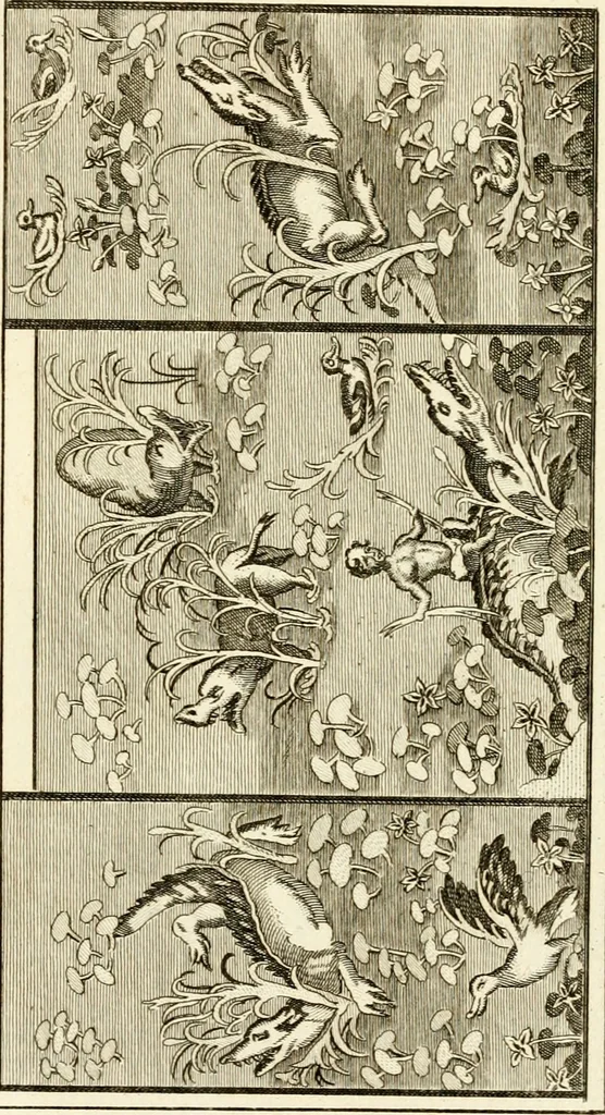 An illustration from Les antiquités d'Herculanum : avec leurs explications en françois, 1780, leaf 270