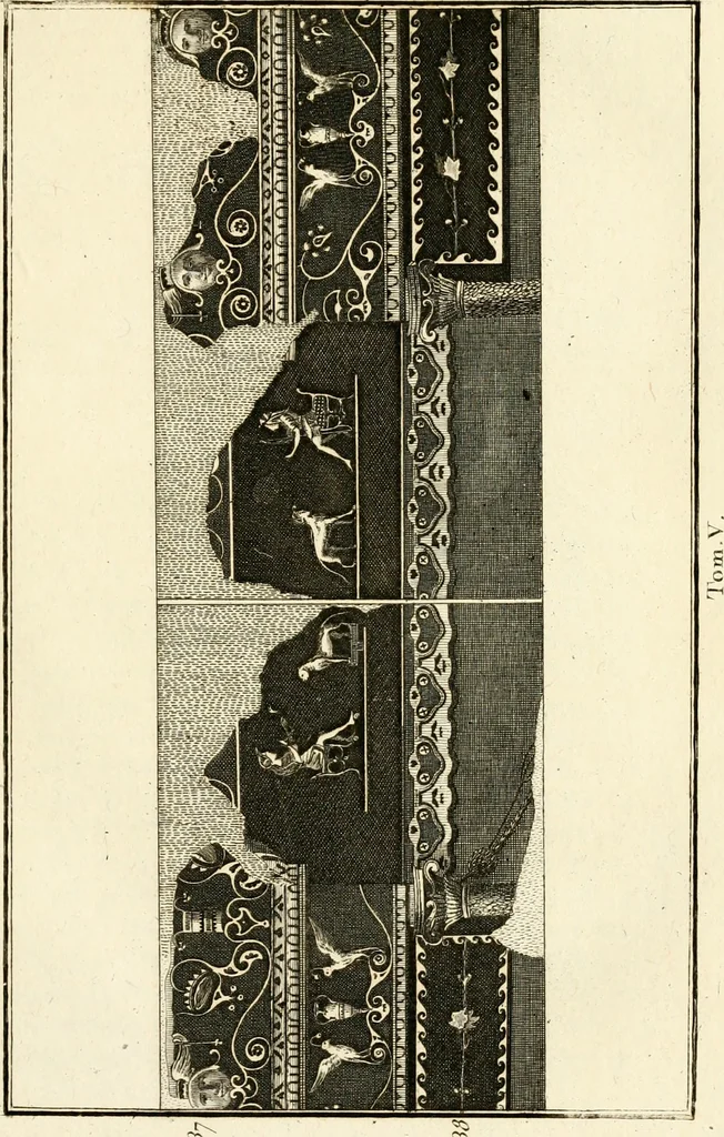 An illustration from Les antiquités d'Herculanum : avec leurs explications en françois, 1780, leaf 56
