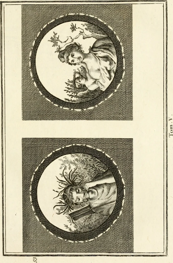 An illustration from Les antiquités d'Herculanum : avec leurs explications en françois, 1780, leaf 82