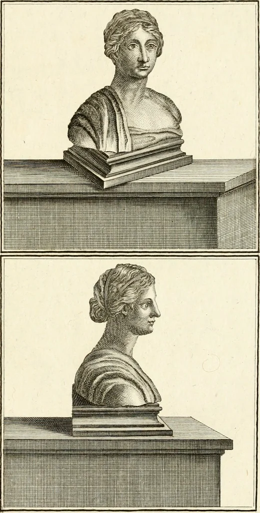 An illustration from Les antiquités d'Herculanum : avec leurs explications en françois, 1780, leaf 100