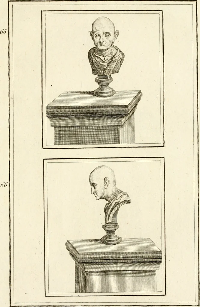 An illustration from Les antiquités d'Herculanum : avec leurs explications en françois, 1780, leaf 104