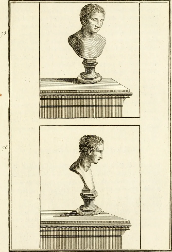 An illustration from Les antiquités d'Herculanum : avec leurs explications en françois, 1780, leaf 118